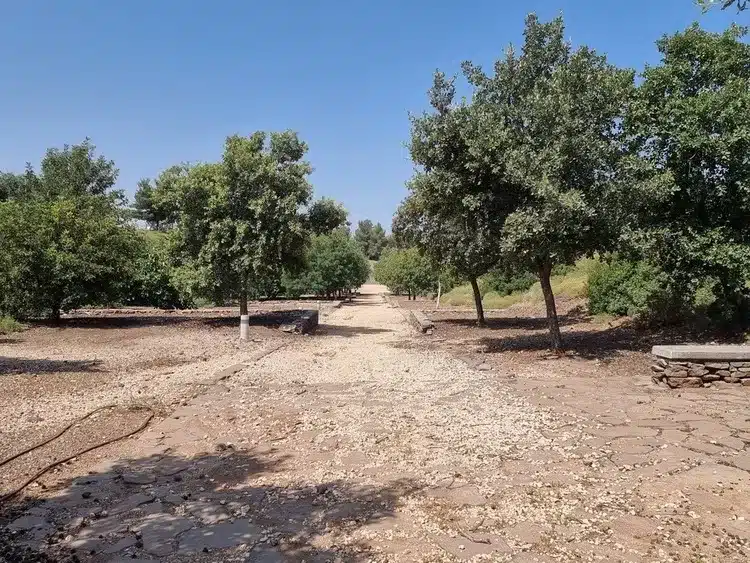 אמפיפארק גולן נוף