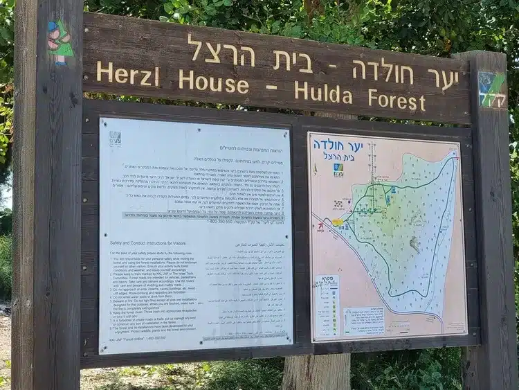 יער חולדה