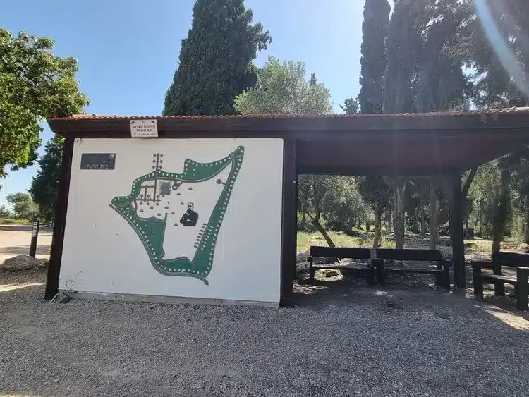 יער חולדה