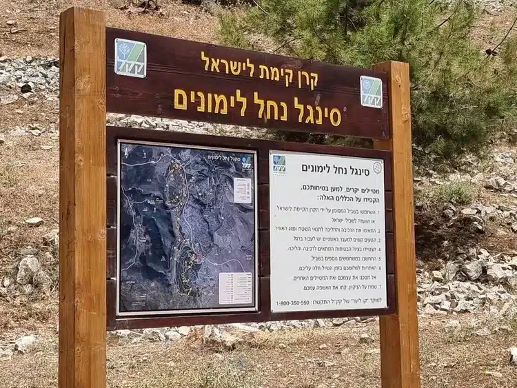 יער לימונים - טיול בגליל העליון