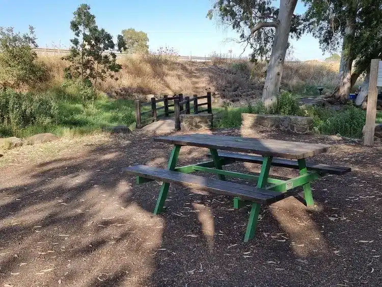 חניון יער נטור גשרון