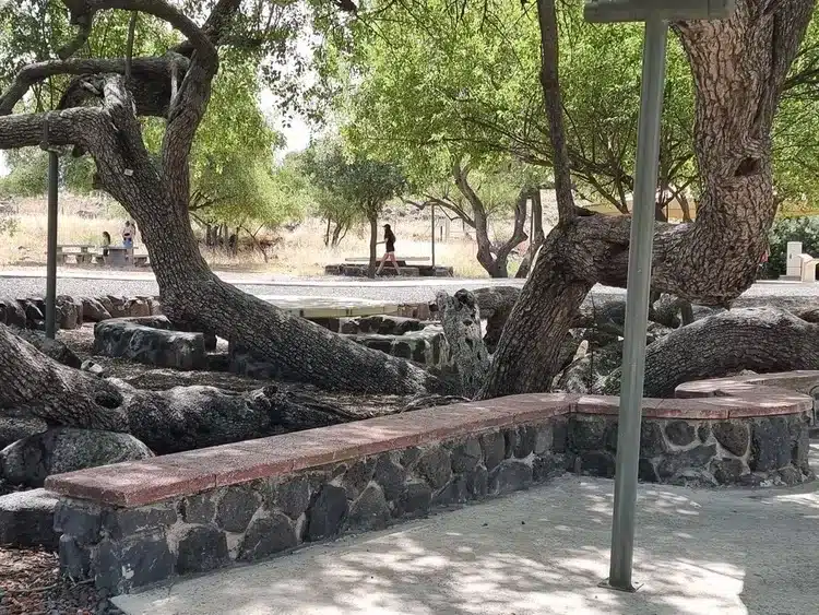 גן לאומי כורזים