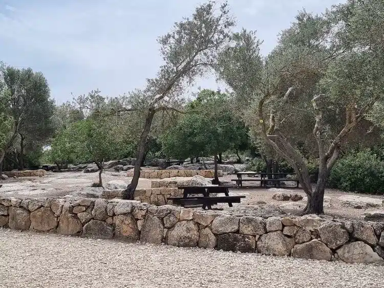 תל עזקה מתחם פיקניק