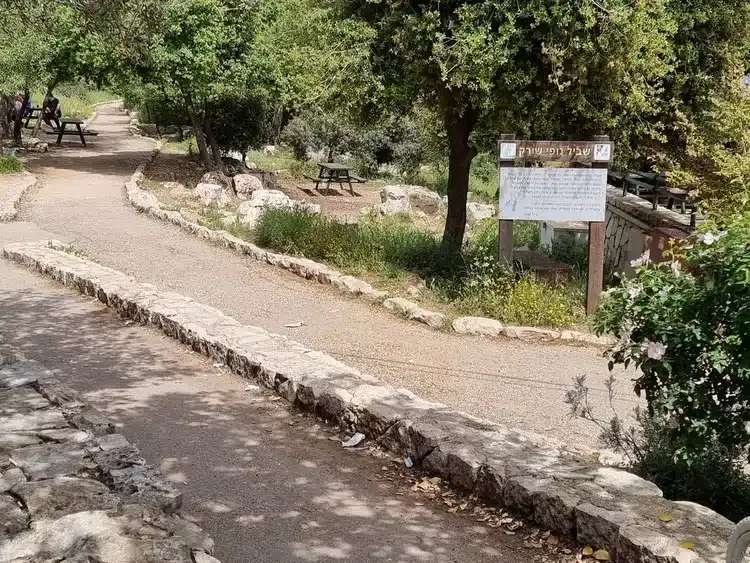 פארק עצמאות ארצות הברית שביל