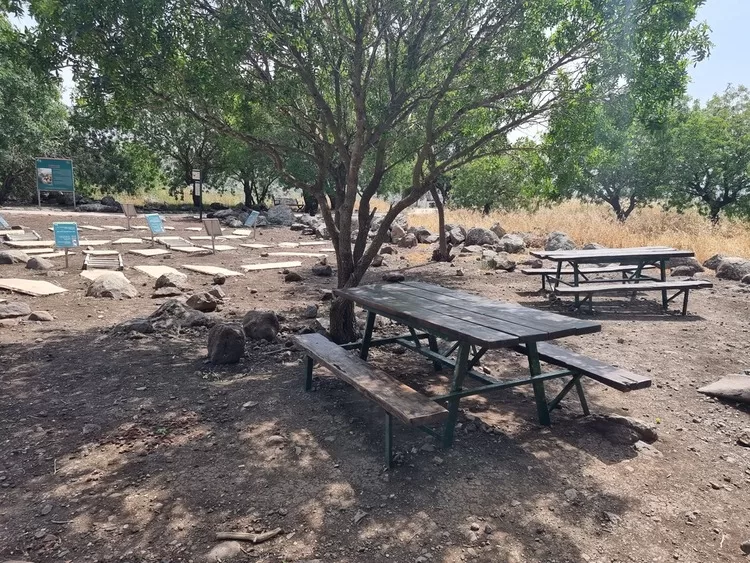 גמלא-שולחנות