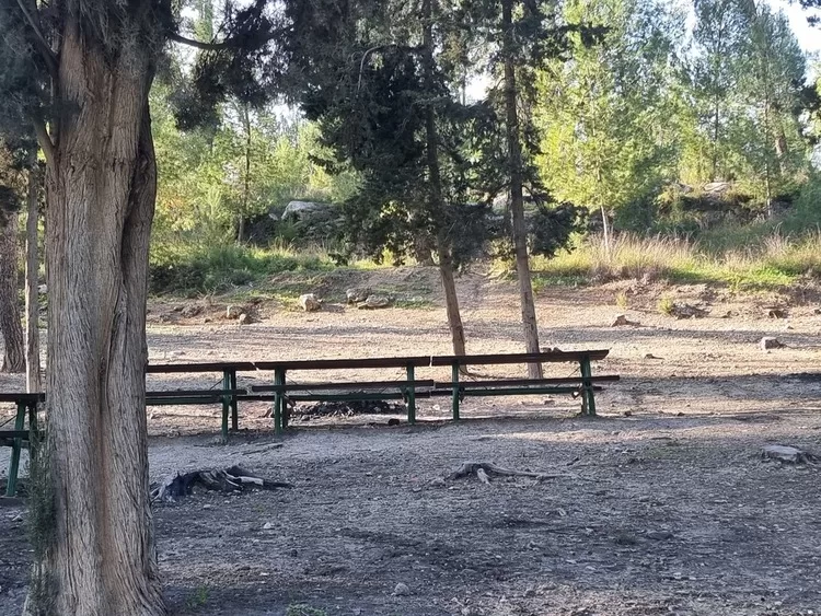 יער המגינים - טיול בשפלה