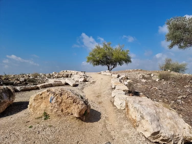 תל חדיד התל