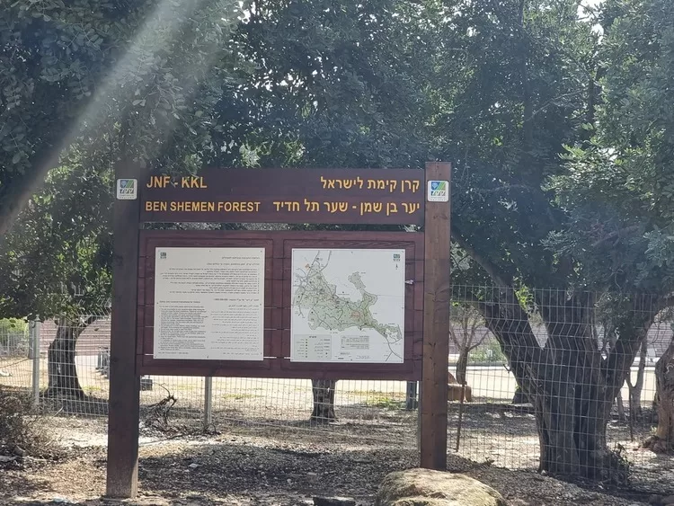תל חדיד יער בן שמן