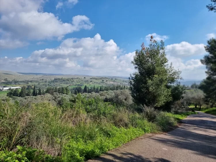 תל חדיד נוף