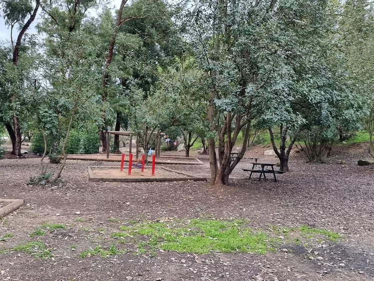 יער פרו - טיול באזור ירושלים