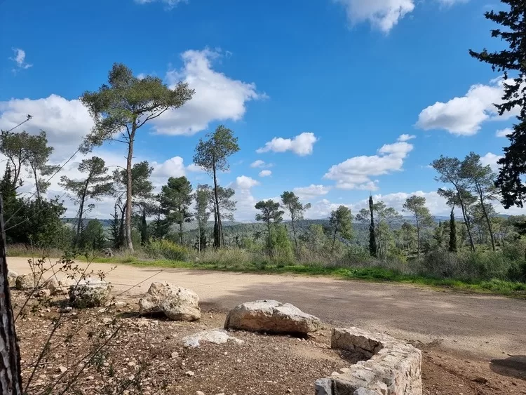 יער פרו - טיול באזור ירושלים