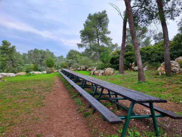 יד קדושי צ'כלוסובקיה יער הקדושים