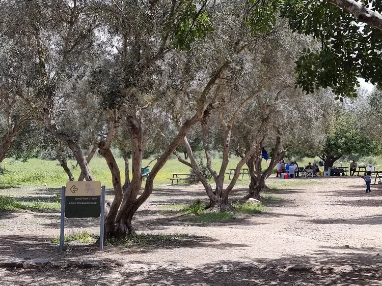 מערות בית גוברין