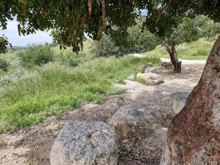 מערות בית גוברין