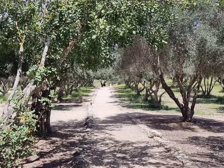 מערות בית גוברין