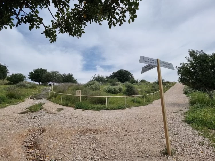 מערות בית גוברין