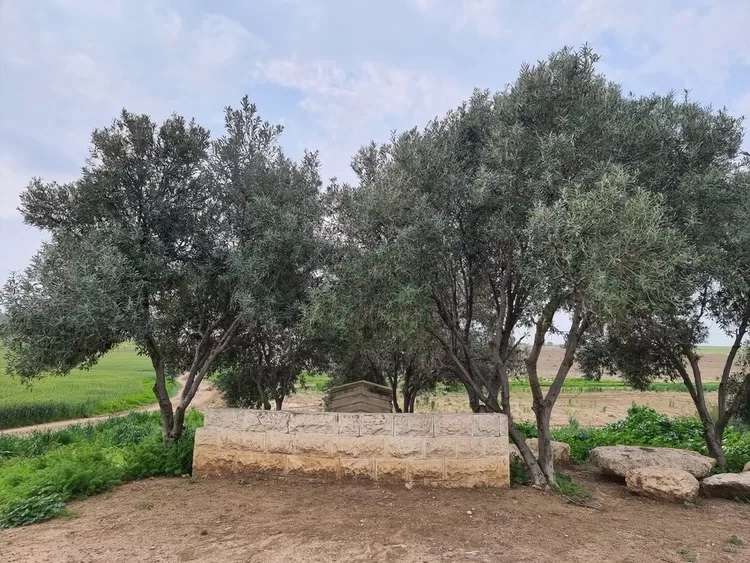 אנדרטת עליה לקרקע רבדים