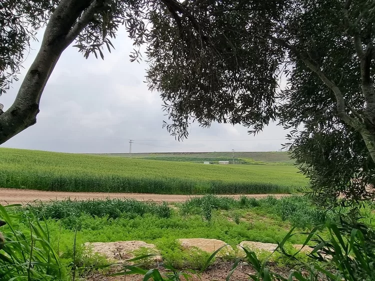 אנדרטת עליה לקרקע רבדים