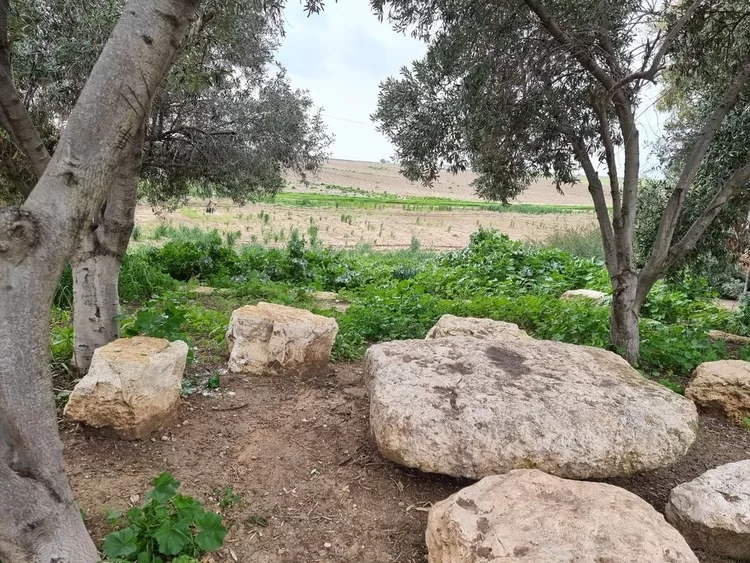 אנדרטת עליה לקרקע רבדים