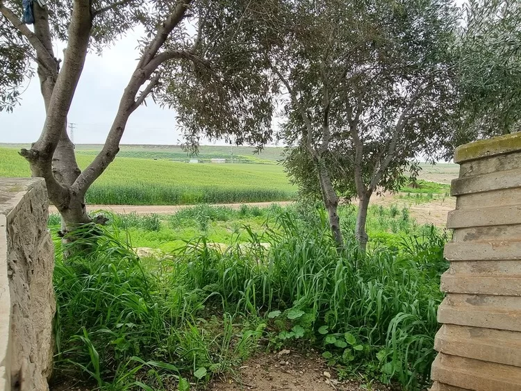 אנדרטת עליה לקרקע רבדים