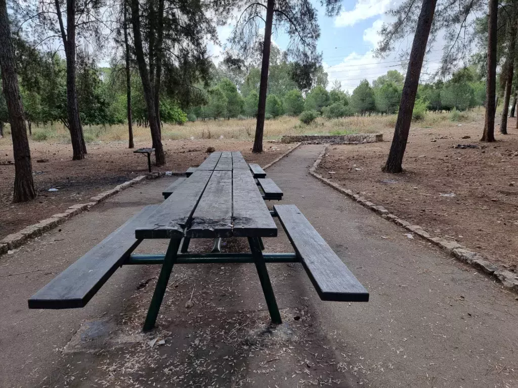 יער קולה