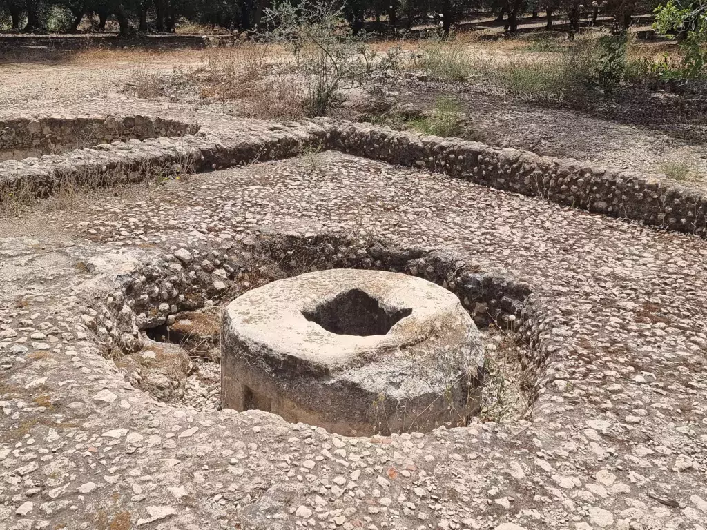 חרבת עג'ס אל ראס
