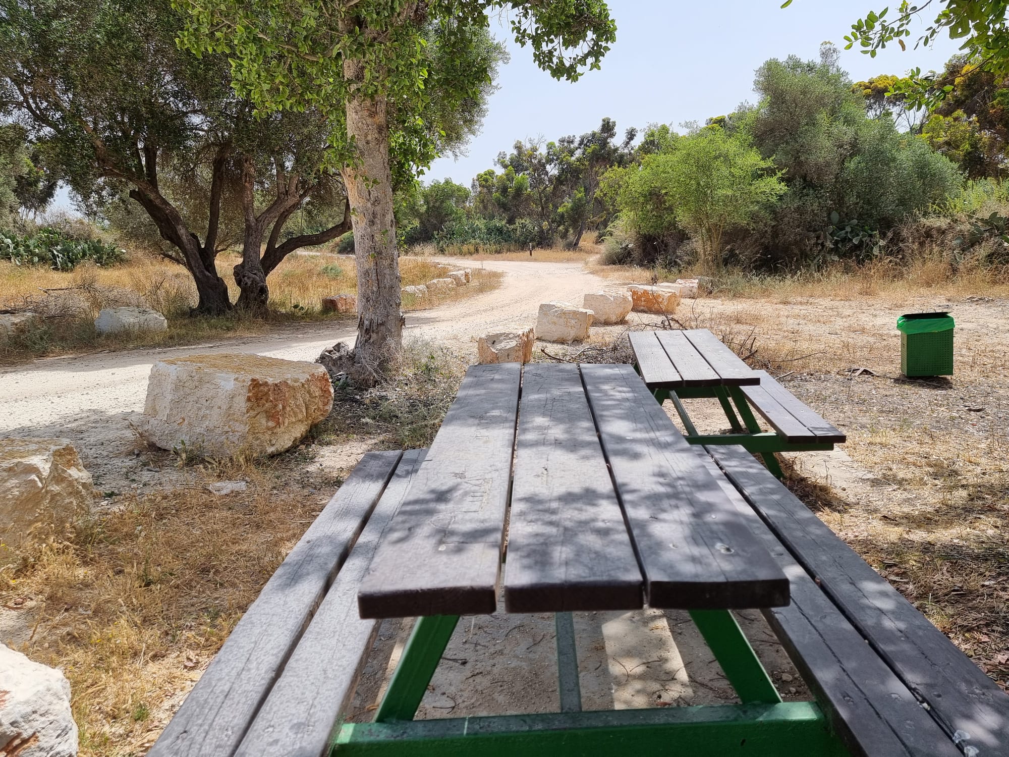 יער כרמון