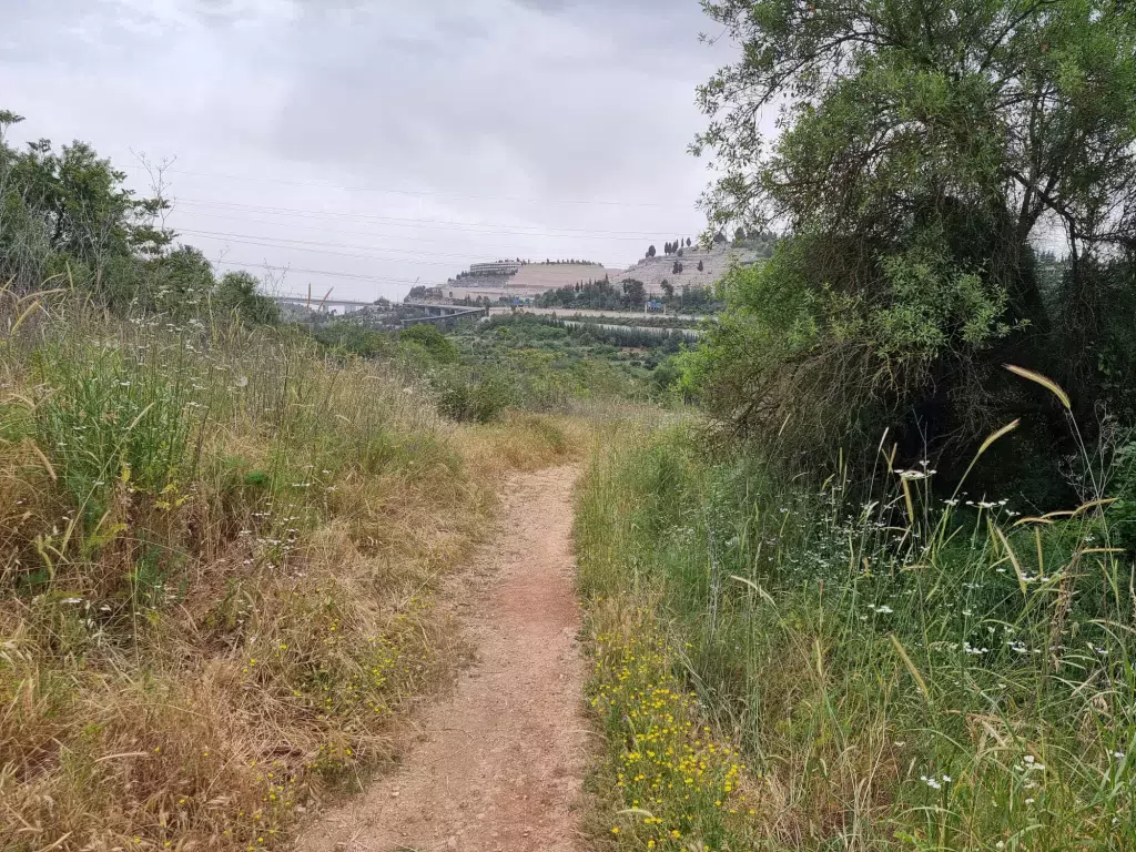 עינות תלם