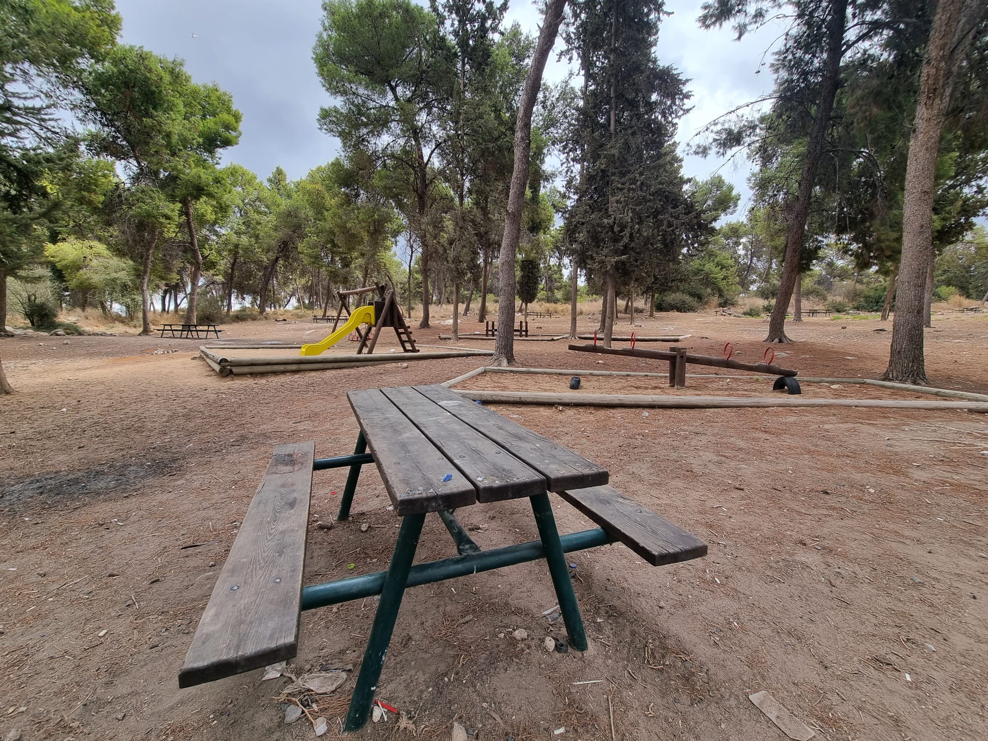 יער הלחי יער משמר איילון