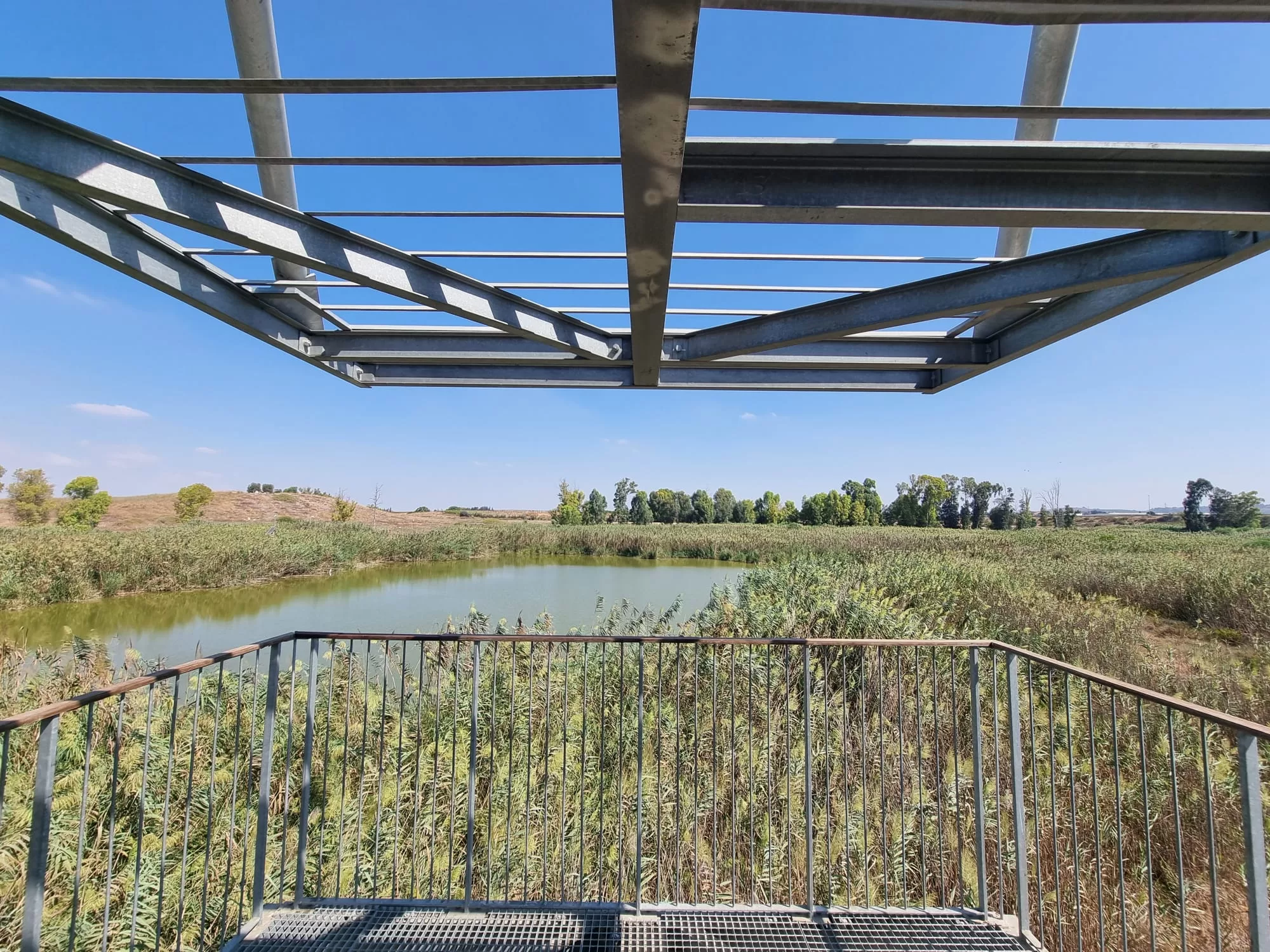 עינות גיבתון