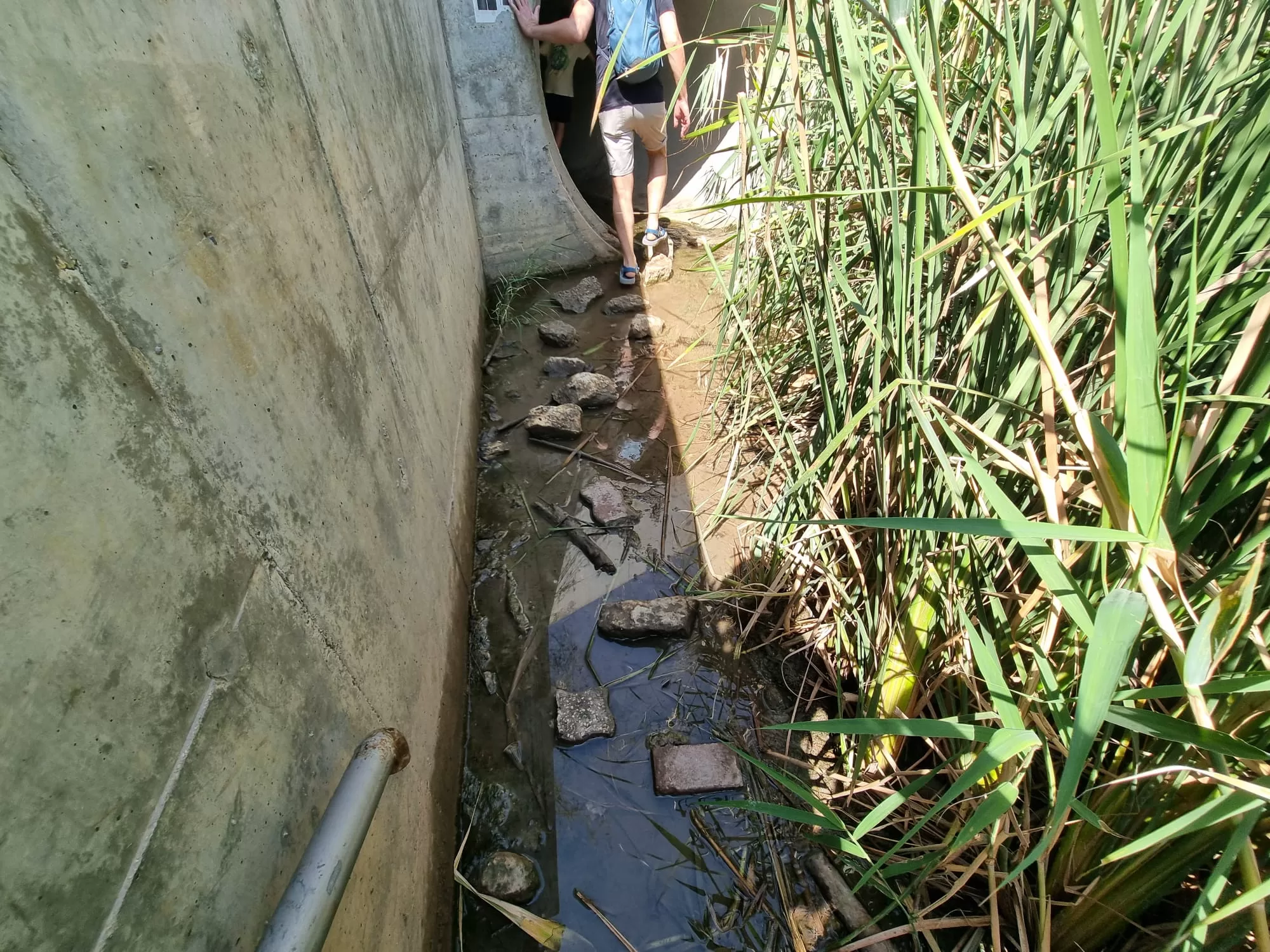 עינות גיבתון יציאה