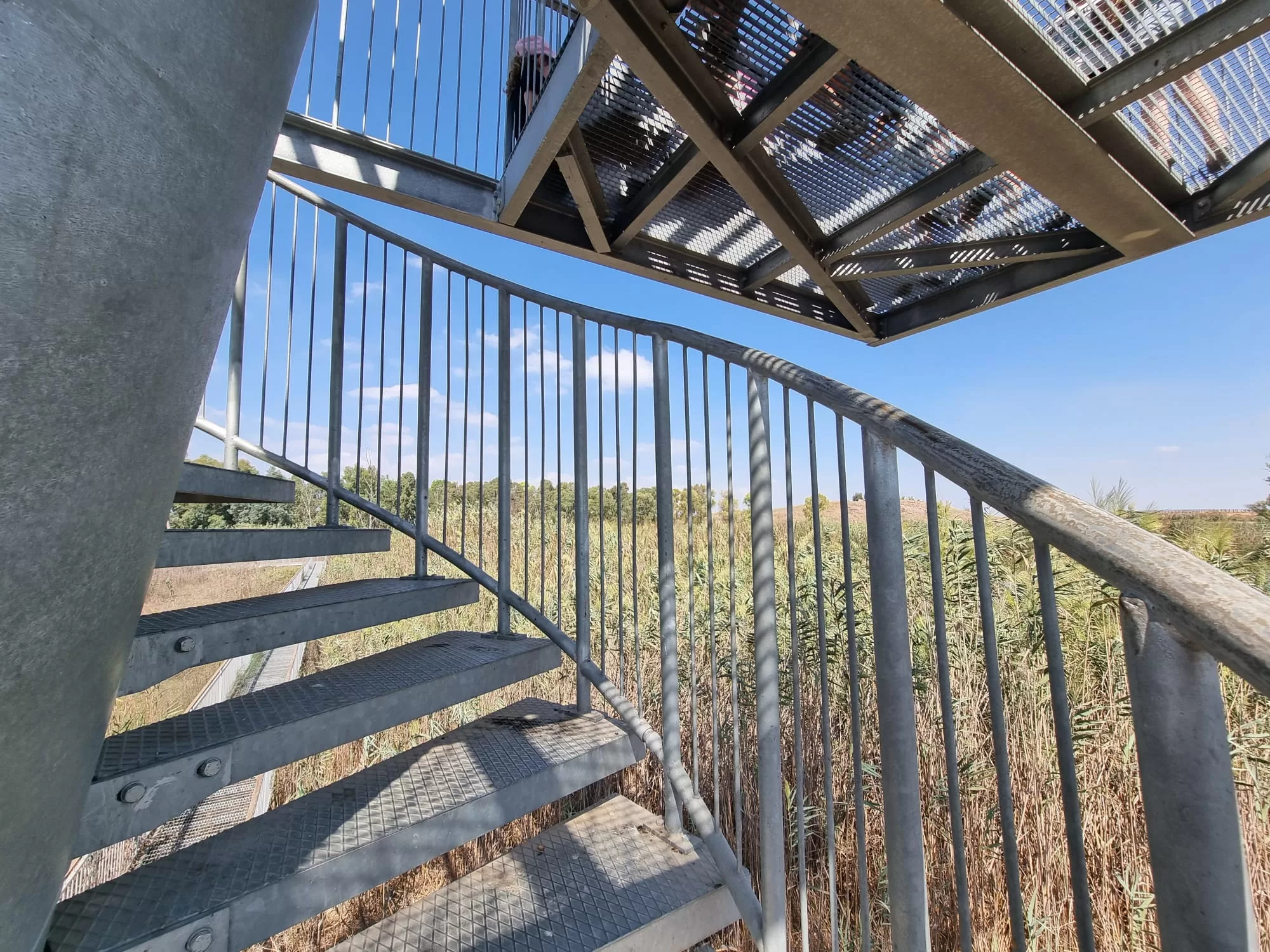 עינות גיבתון מדרגות לתצפית