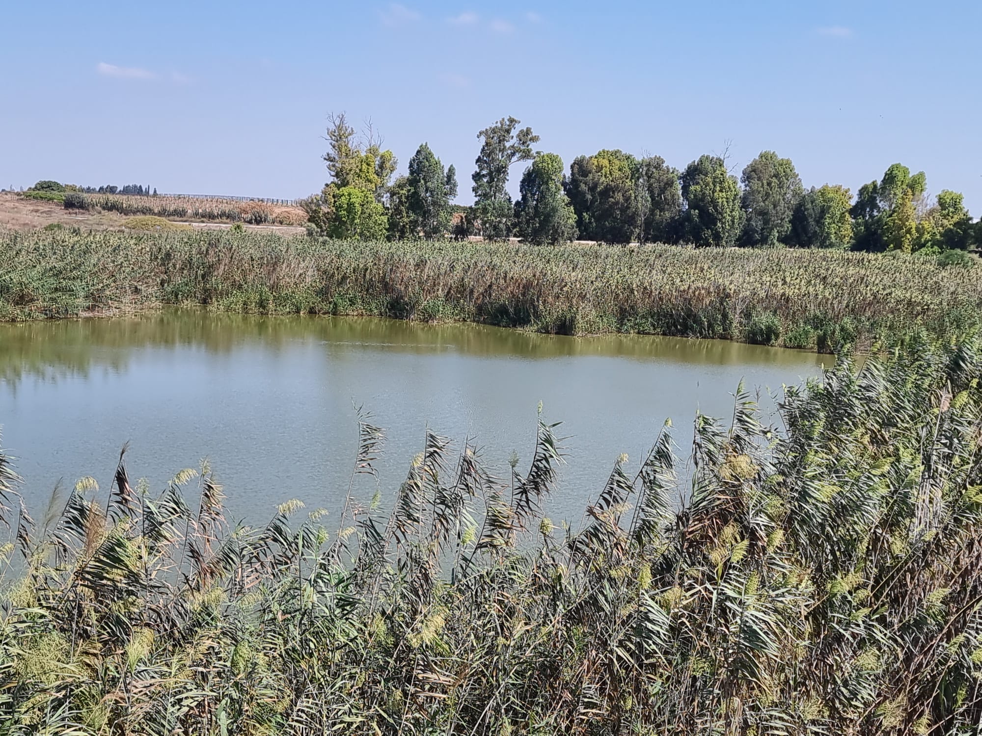 עינות גיבתון אגם