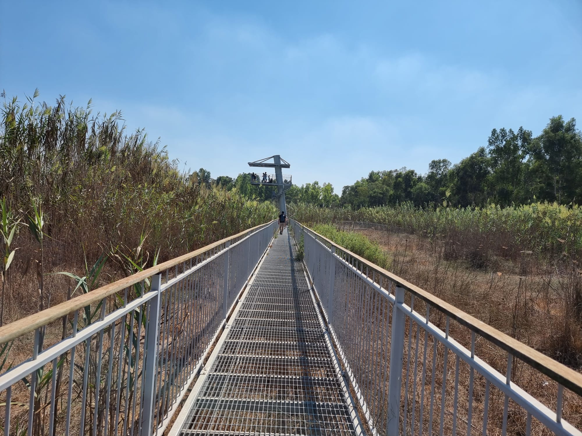 עינות גיבתון גשר