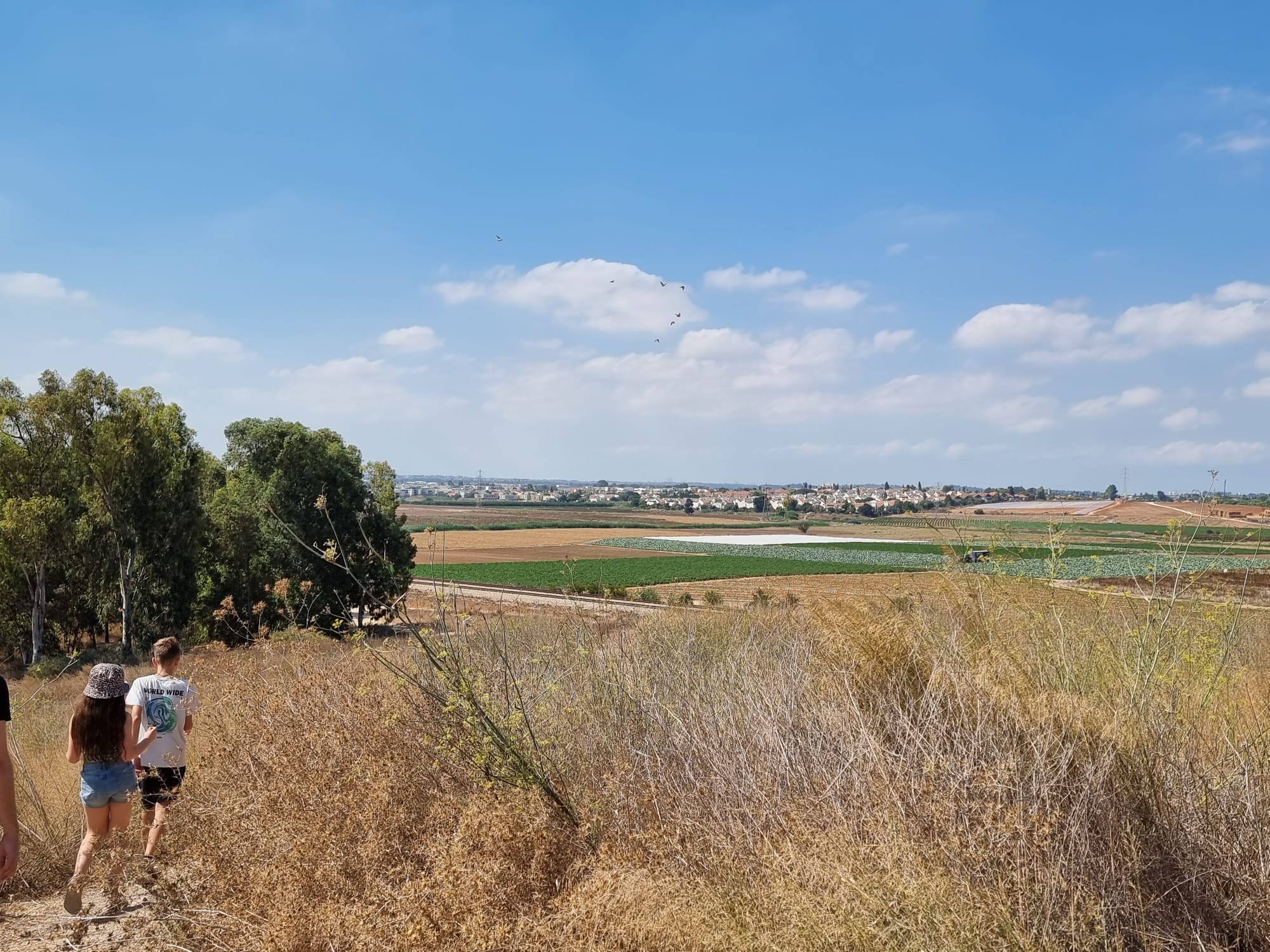 עינות גיבתון המשך המסלול