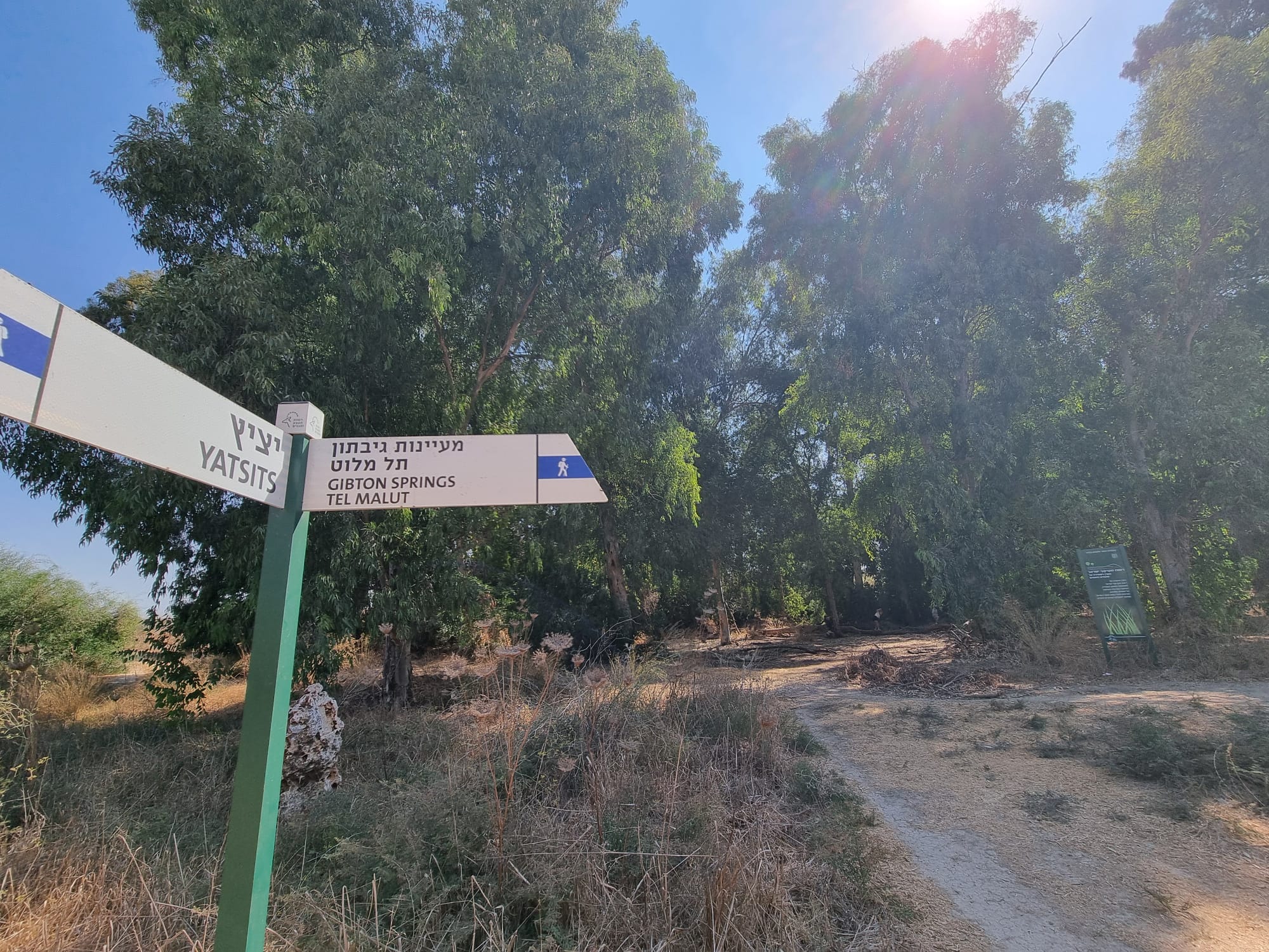 עינות גיבתון כיון מסלול