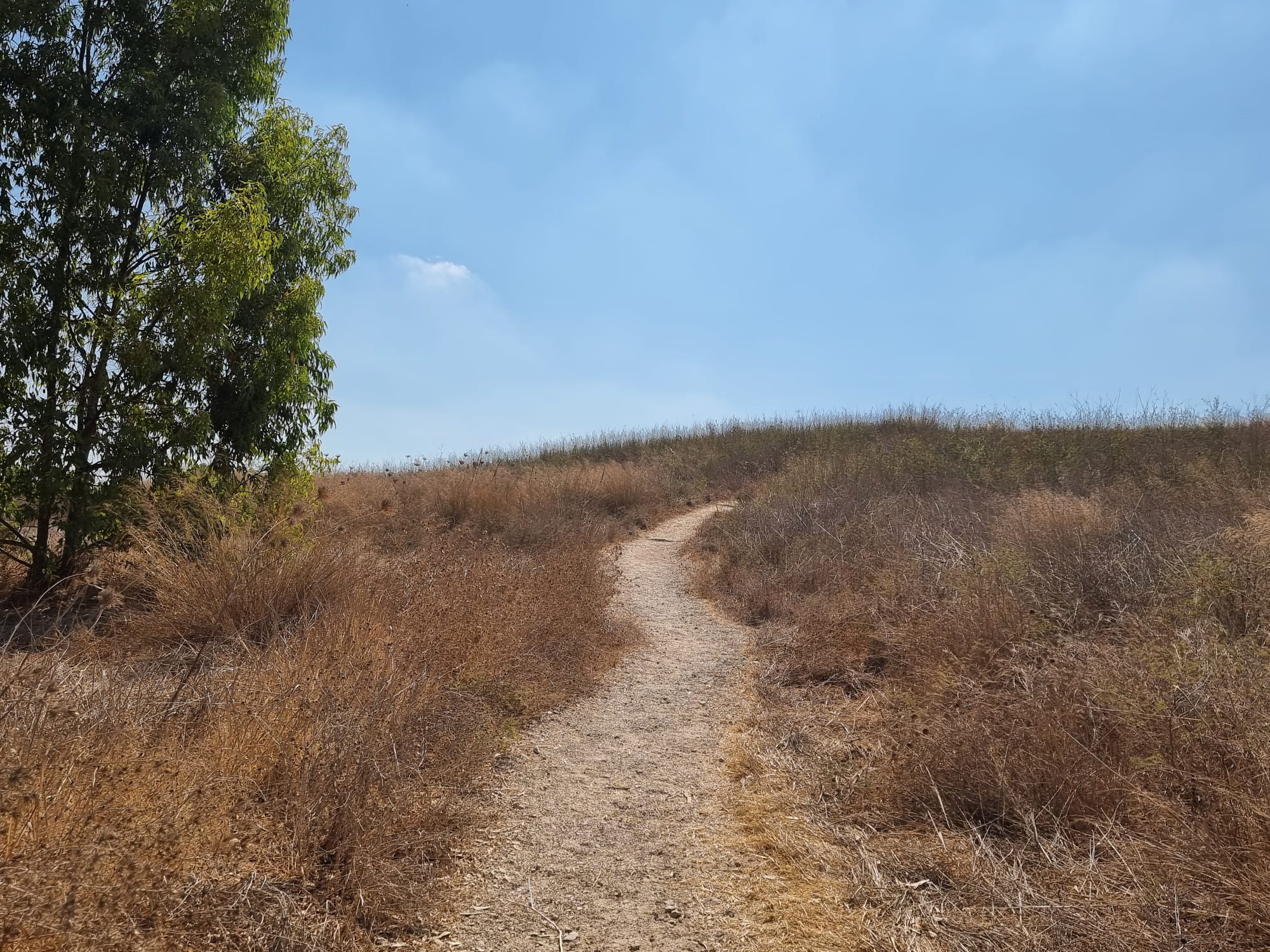 עינות גיבתון מסלול