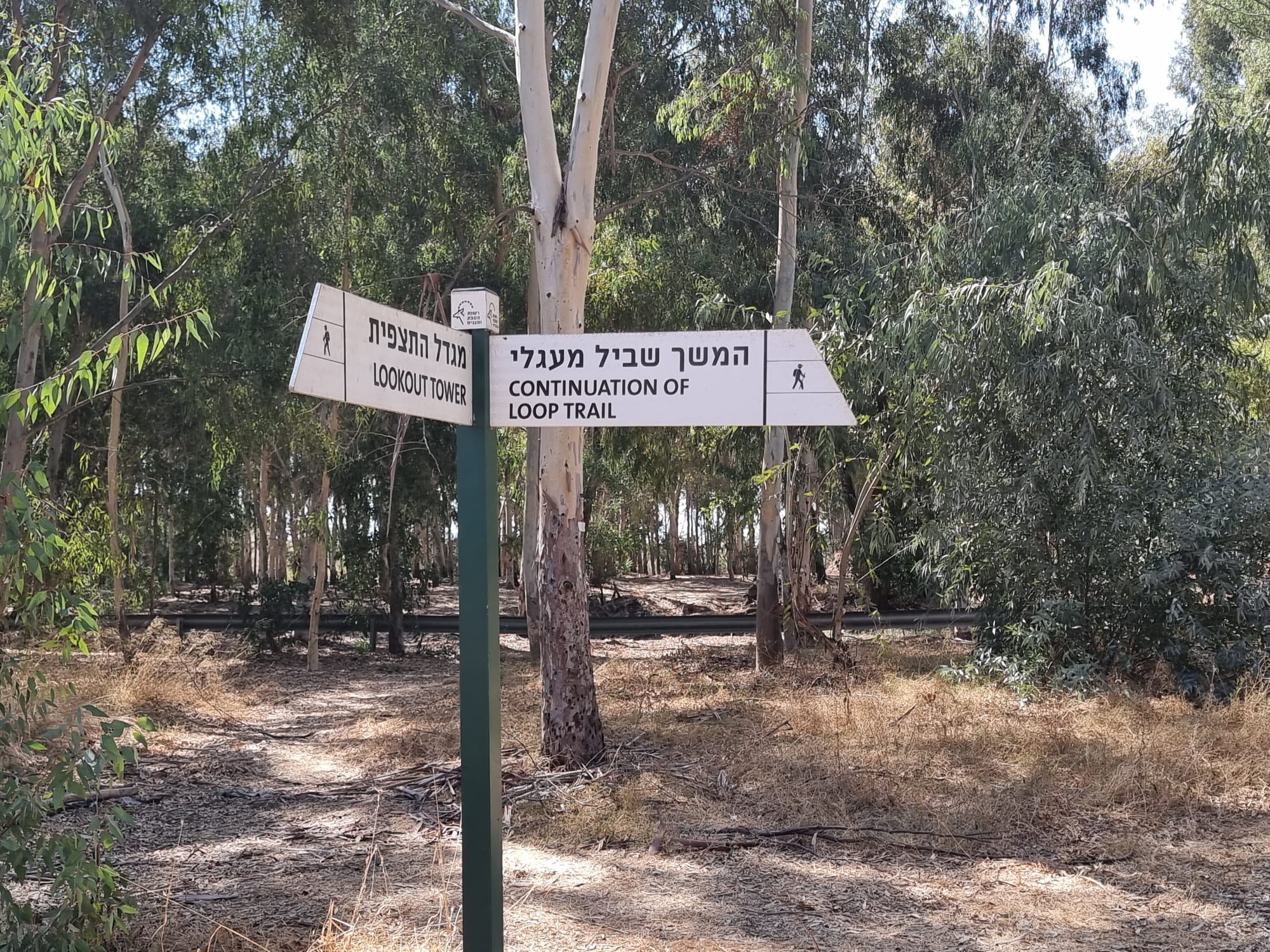 עינות גיבתון מסלול מעגלי