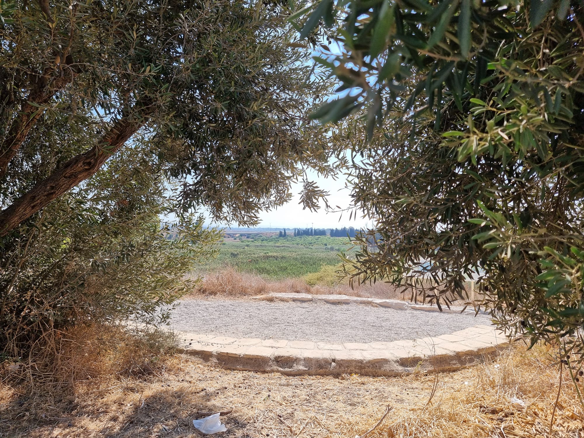 עינות גיבתון נוף