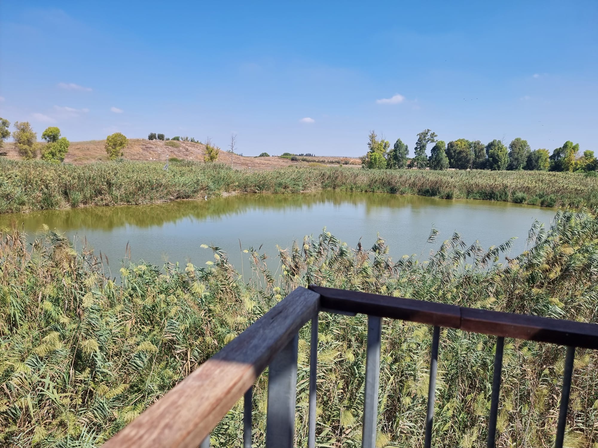 עינות גיבתון נוף מהמרפסת