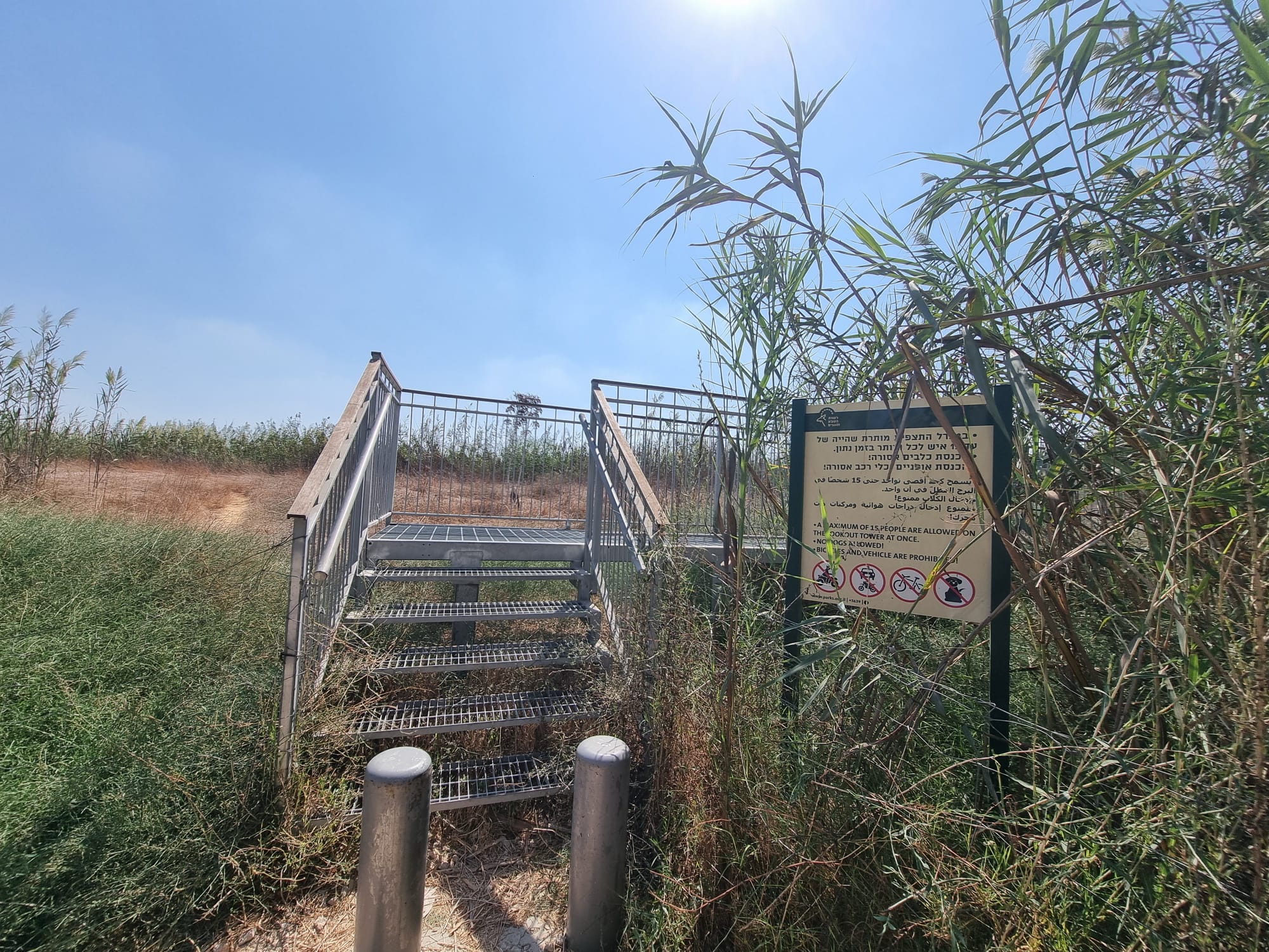 עינות גיבתון תחילת הגשר