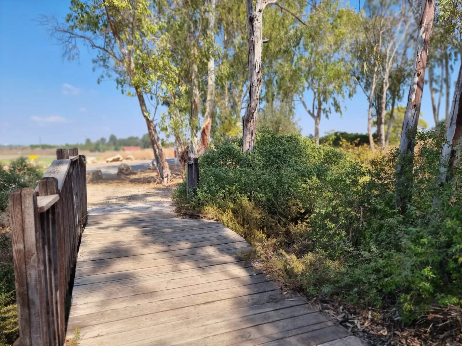 תחנת מקורות חולדה