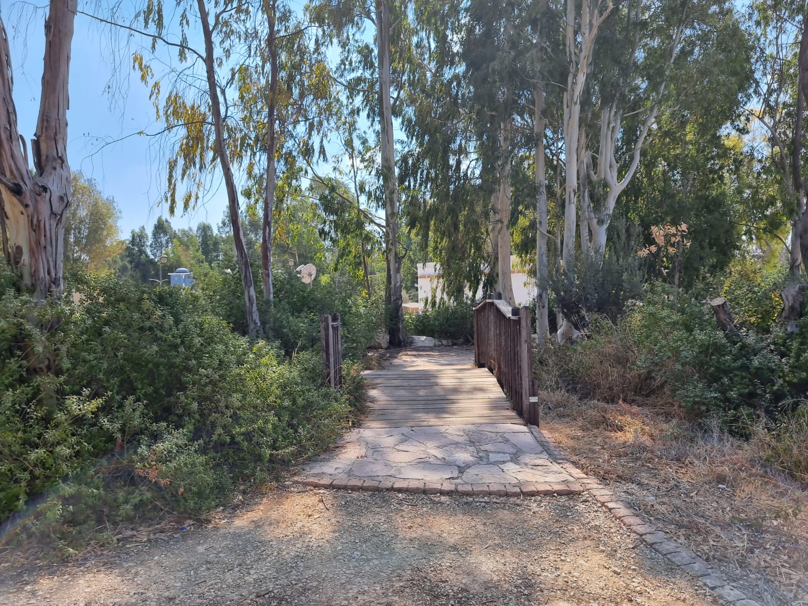 תחנת מקורות חולדה