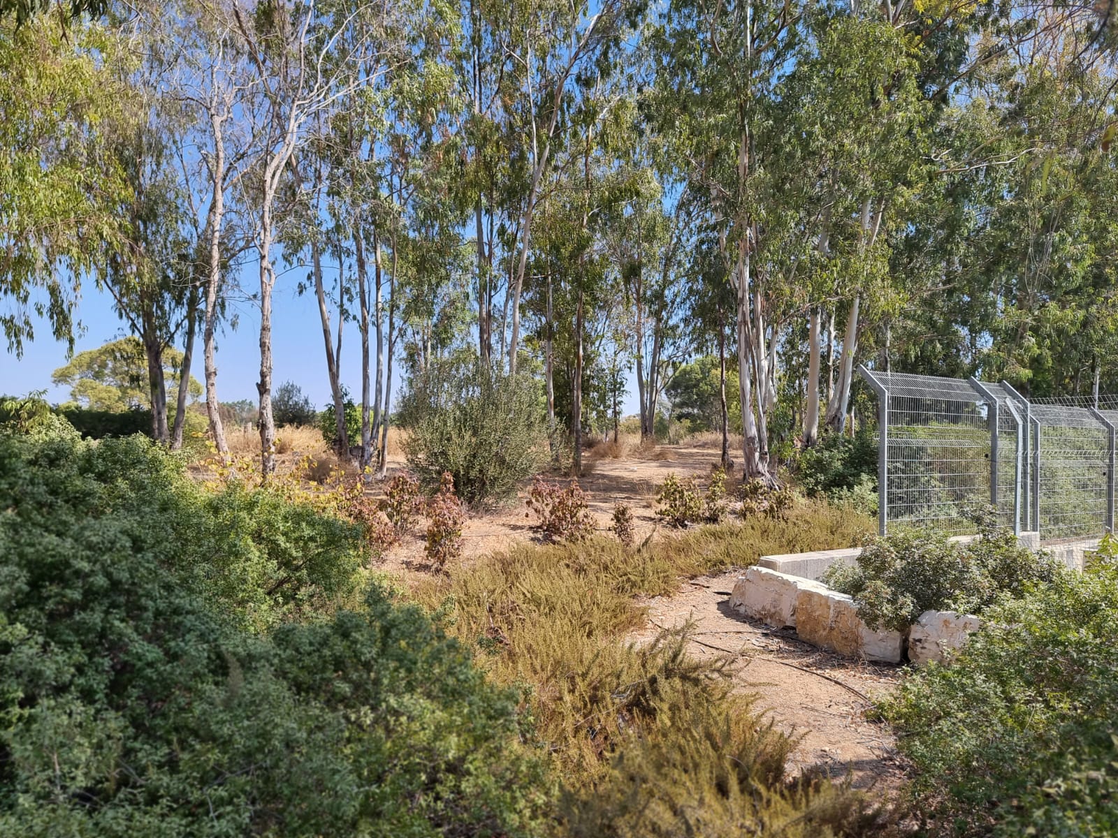 תחנת מקורות חולדה