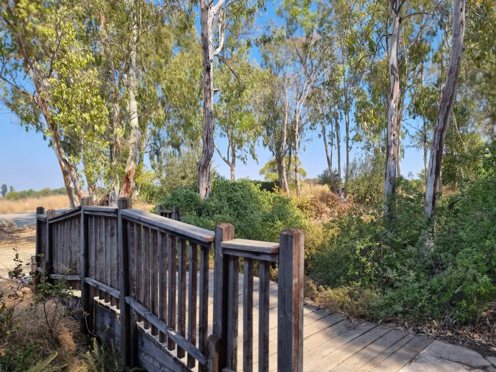 תחנת מקורות חולדה